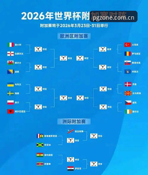 2026世界杯观赛体验全面评测：签证危机下的冷场，PG游戏平台带你解读赛事变局